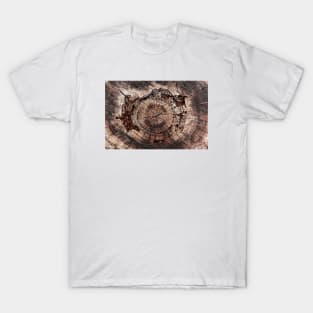 Spiral Inner Tree Rings Eroding T-Shirt